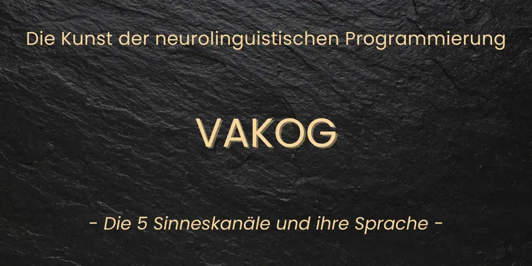 VAKOG - Die 5 Sinneskanäle